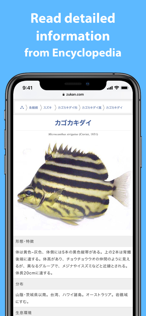 Mikke Fish ID - A detailed fish identification page from the Mikke encyclopedia showing a yellow and black striped fish