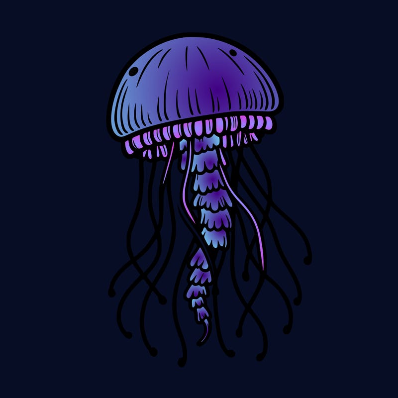 jellyfish