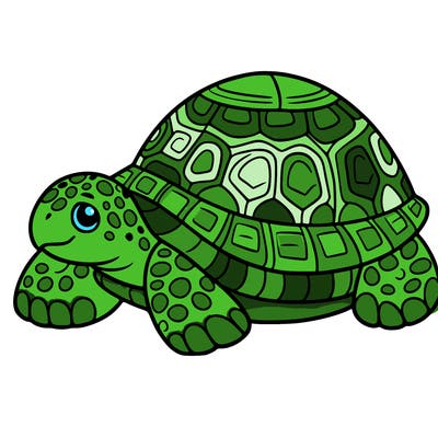 turtle