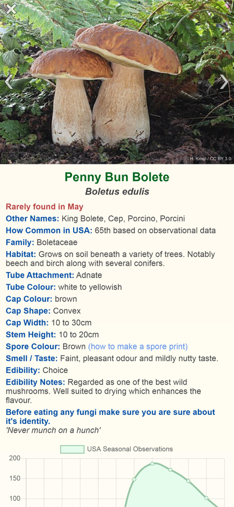 Detailed identification profile for the Penny Bun Bolete mushroom in the Shroomify app.