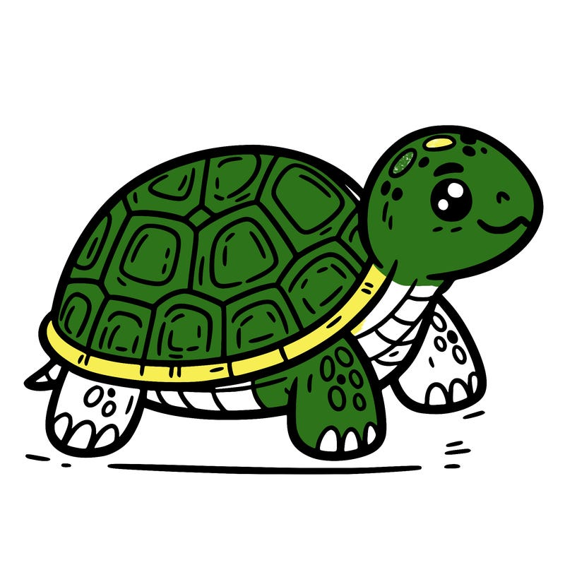 turtle
