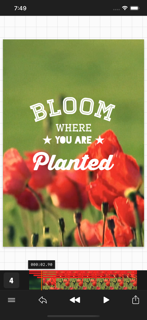 Vont app interface showing custom aesthetic text overlay on a video of red flowers