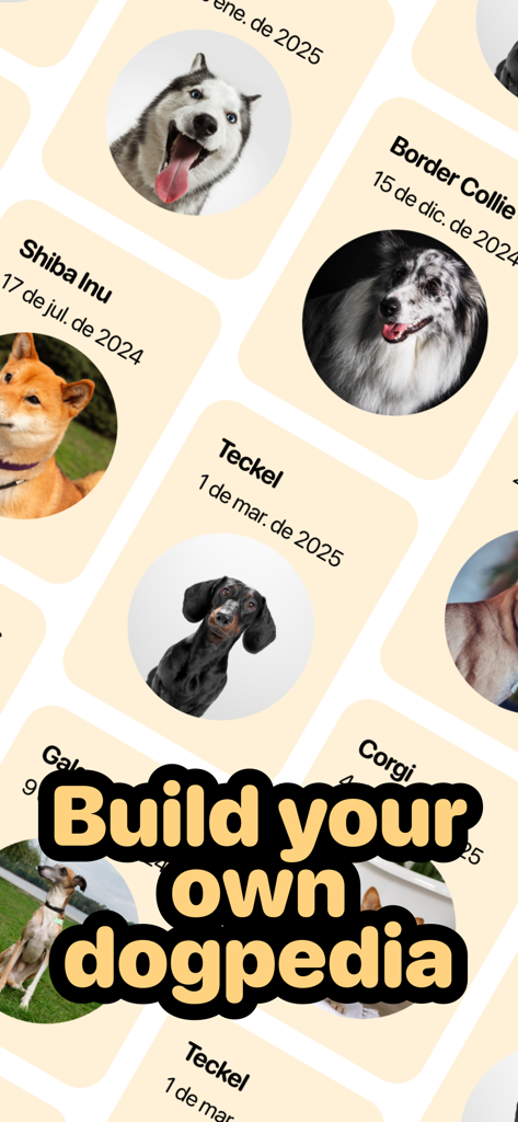 Dog scanner - Gos - Anzeige von identifizierten Hunderassenkarten wie Shiba Inu und Border Collie in der Dog scanner App