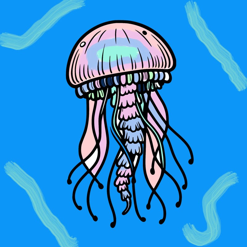 jellyfish