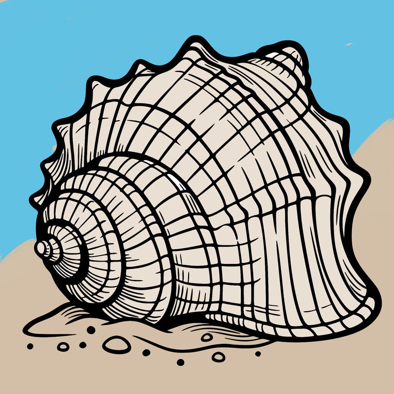 sea shell