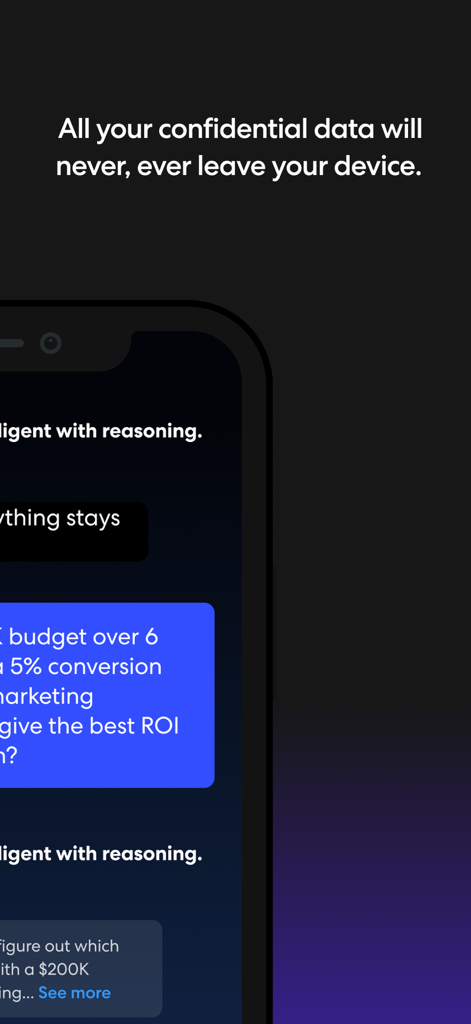 Captura de pantalla de la aplicación cAI que enfatiza que los datos confidenciales permanecen localmente en el dispositivo para una máxima privacidad.