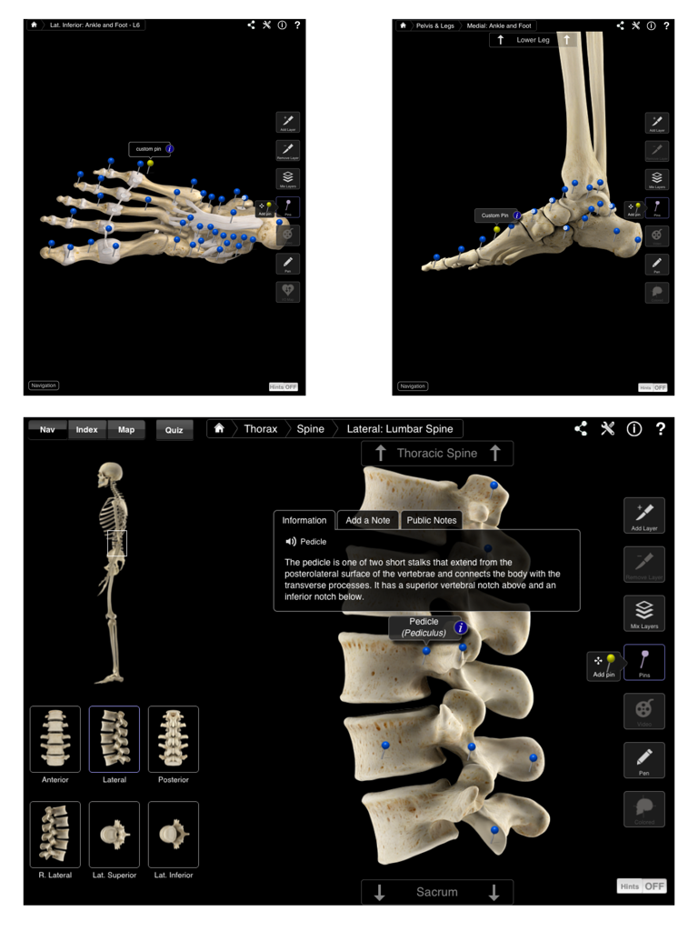 Interface of Skeleton System Pro III showing 3D skeletal models of the foot and spine with detailed anatomical landmarks.