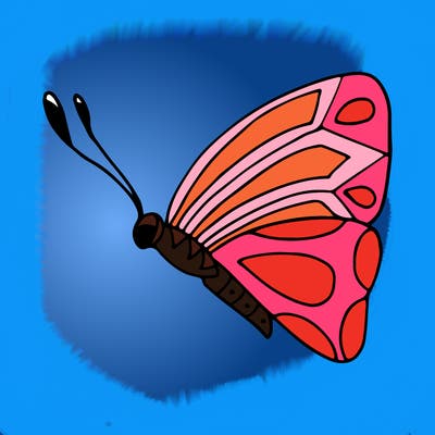 animals_02