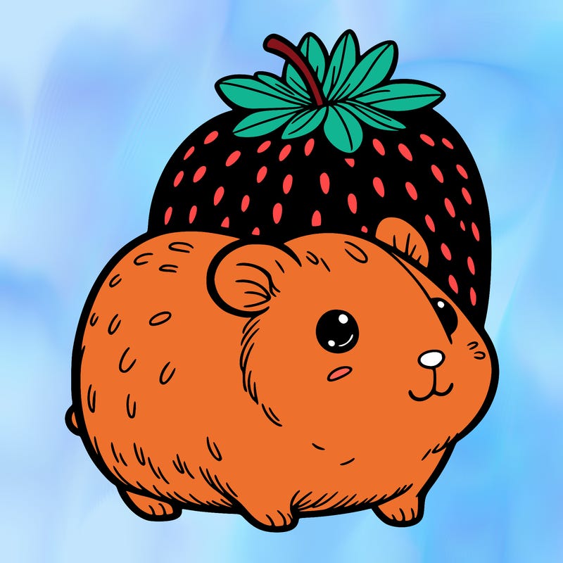 strawberry guineapig