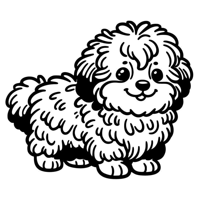miniature aussie doodle