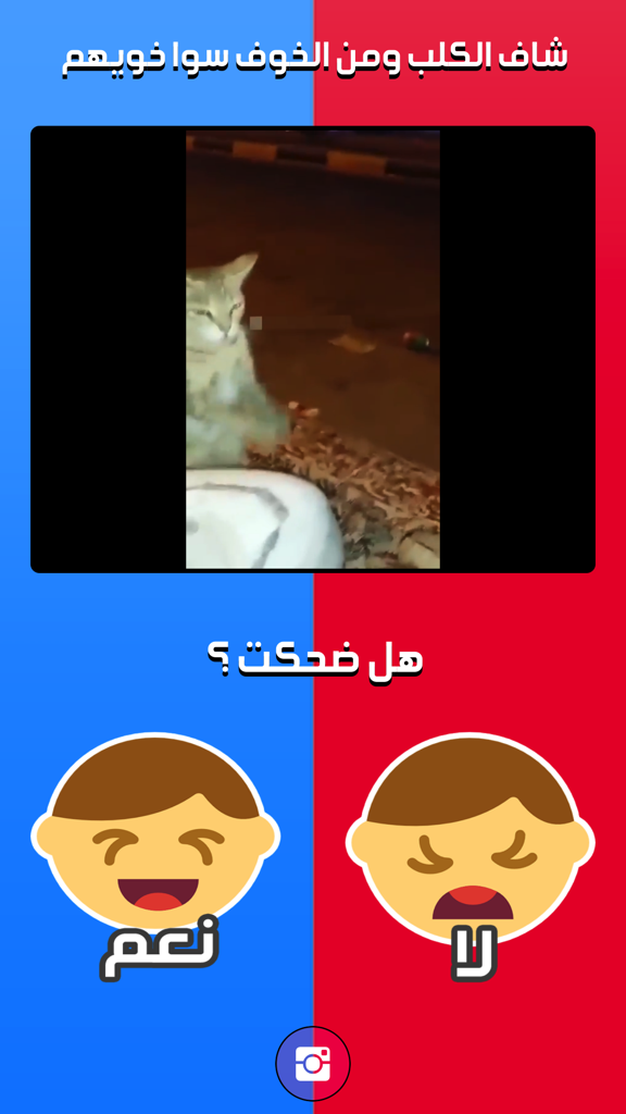 Uno screenshot dell'interfaccia dell'app Laugh Challenge che mostra un video divertente e un sondaggio che chiede Hai riso in arabo con opzioni sì e no