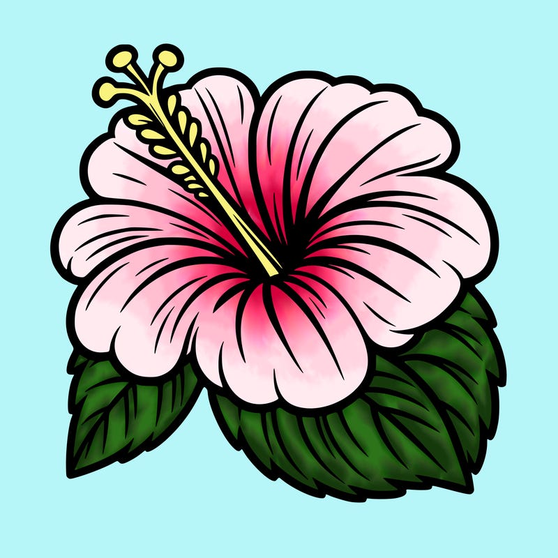 hibiscus flower