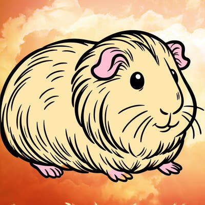 guinea pig
