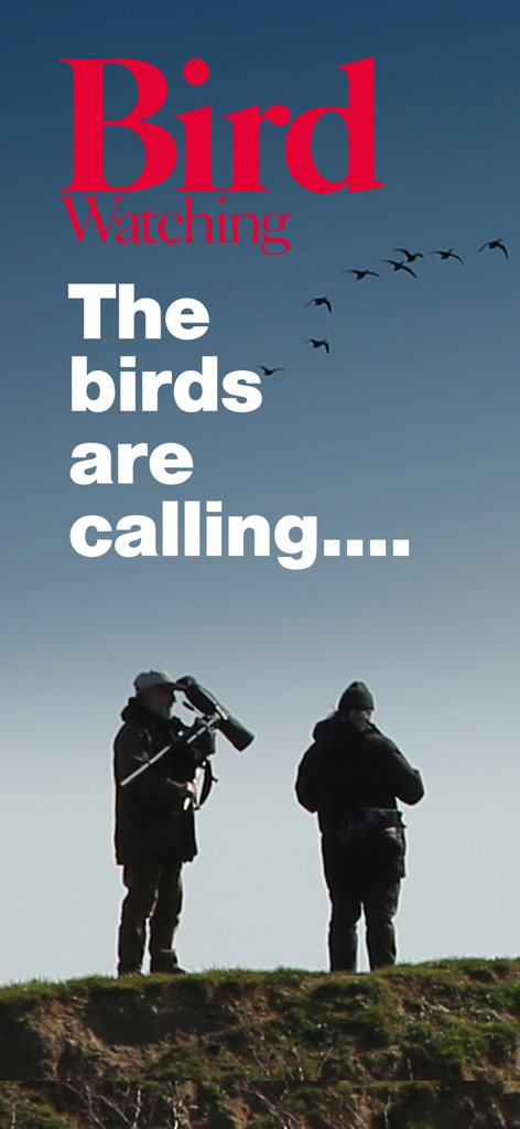 Bird Watching: Expert tips | The Ultimate Guide for Birders