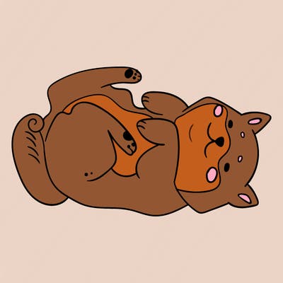 animals_30