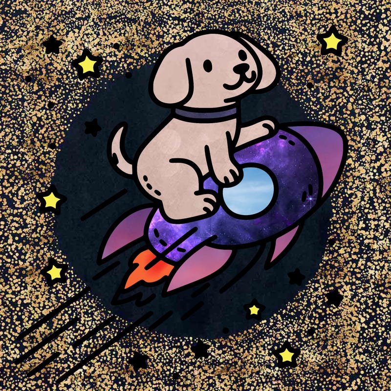 thin and crisp lines dog riding a comet through space for coloring book