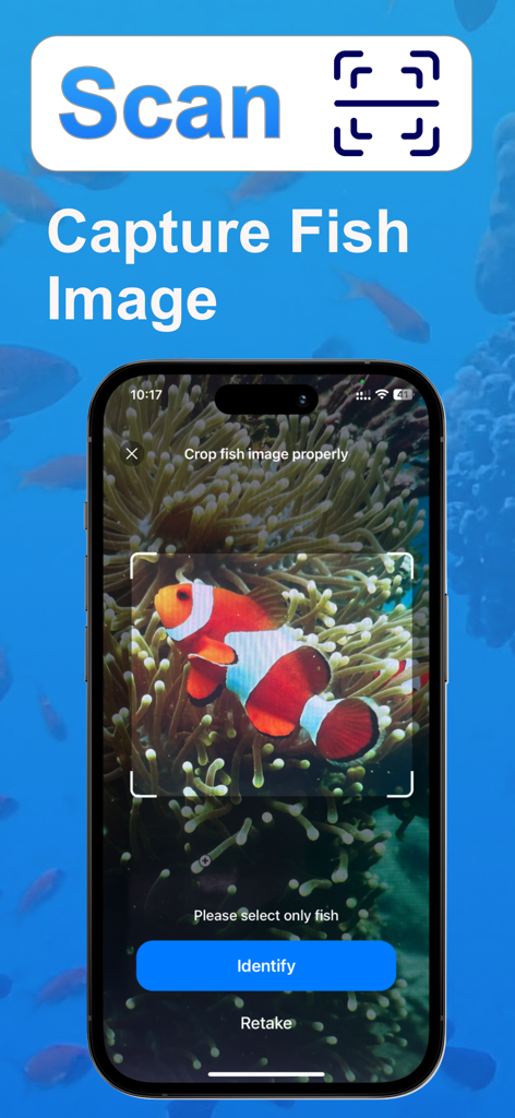 Fish Identifier: Scan & Find - 식별을 위해 복제되고 스캔되는 흰동가리이를 보여주는 모바일 앱 인터페이스와 눈에 띄는 식별 버튼.