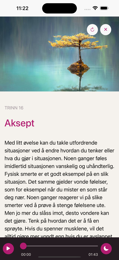 Epio - The Epio app interface showing a chronic pain management module titled Aksept with a peaceful image of a tree and an audio player.