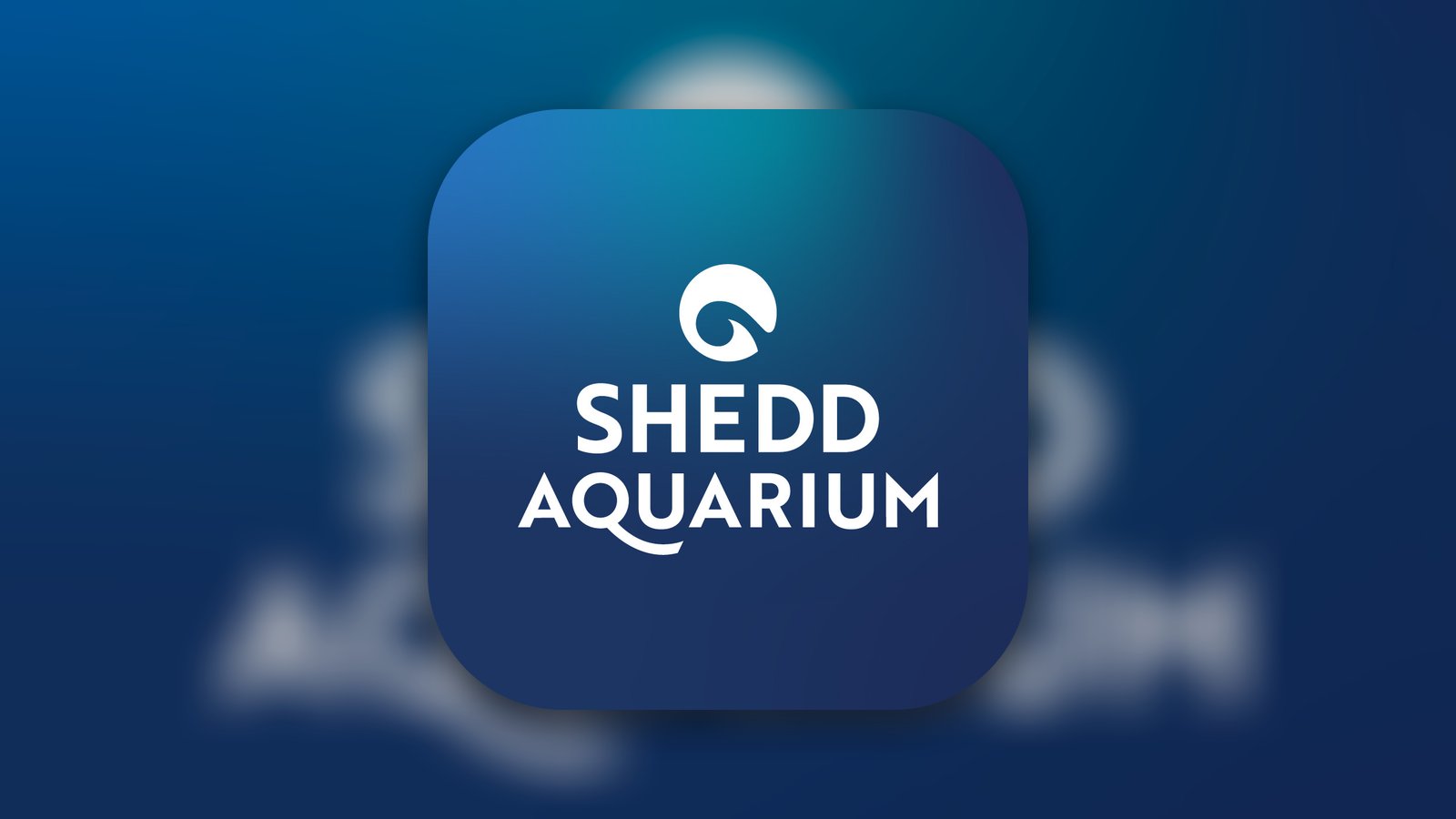 Shedd Go - Education App | MWM
