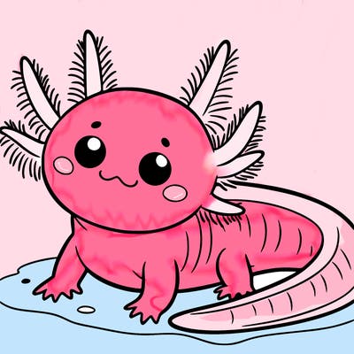 axolotl