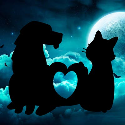animals_22