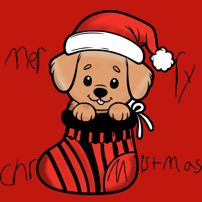 cute puppy wearing santa hat in socking