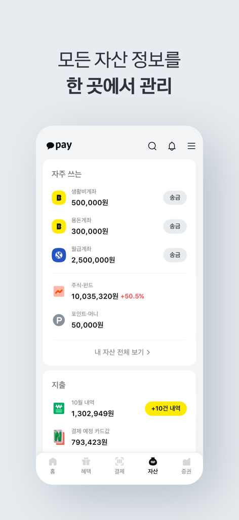 Kakao Pay mobile app dashboard showing financial assets and account balances