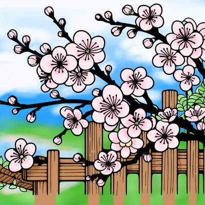 japan cherry blossom