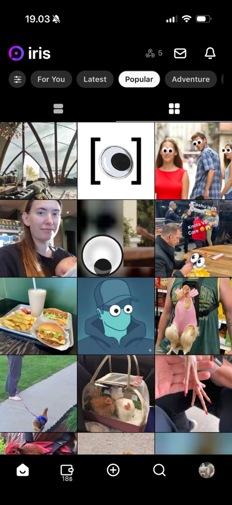 Iris – The Nostr client - A grid of popular image posts on the Iris Nostr client social media app.