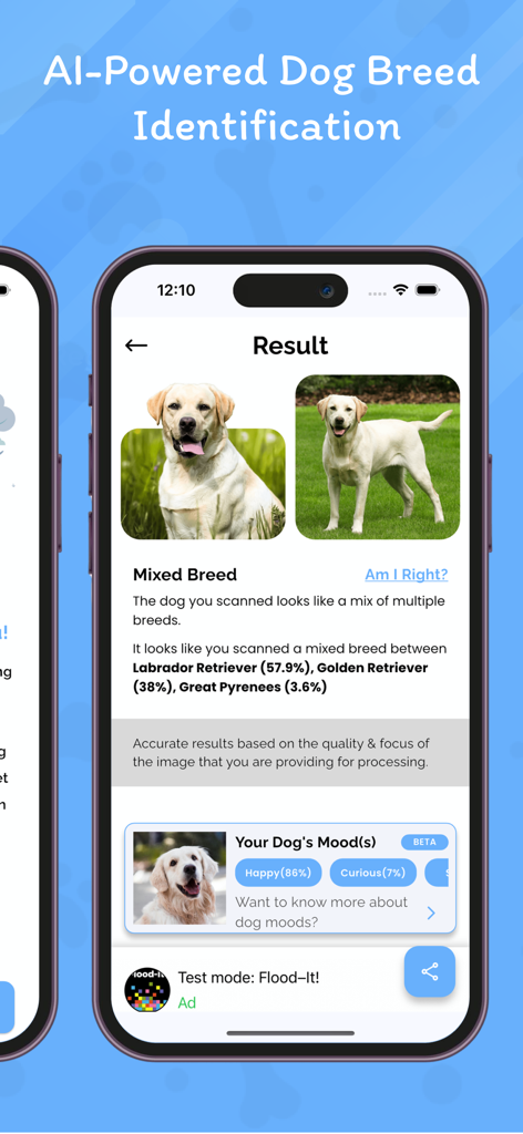 Dog Identifier: AI Dog Scanner - AI dog breed identification result showing mixed breed percentages and dog mood scanner