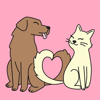 animals_22