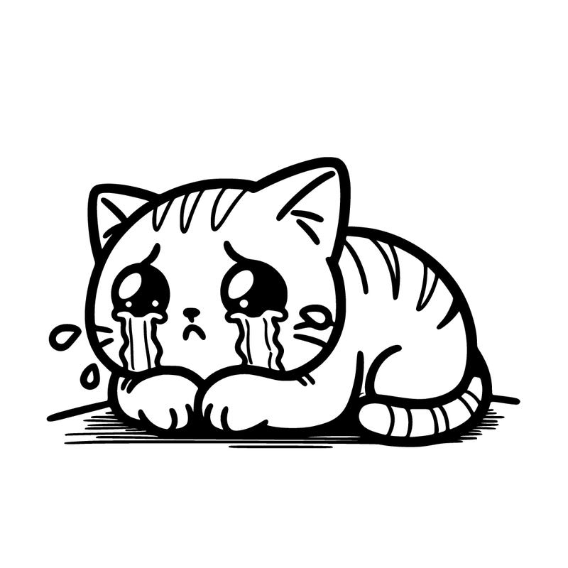 crying cat