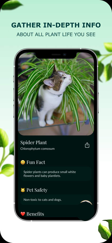 Aplicación Plant IQ que muestra información de identificación y seguridad para mascotas de una planta araña