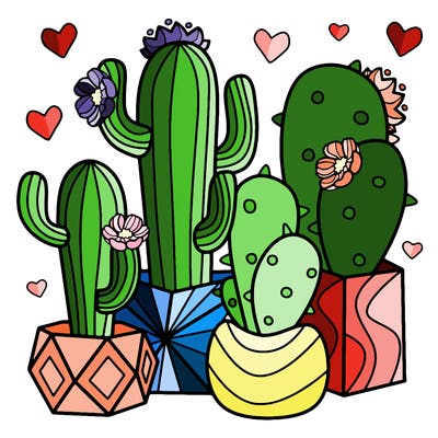 flowers_24_new