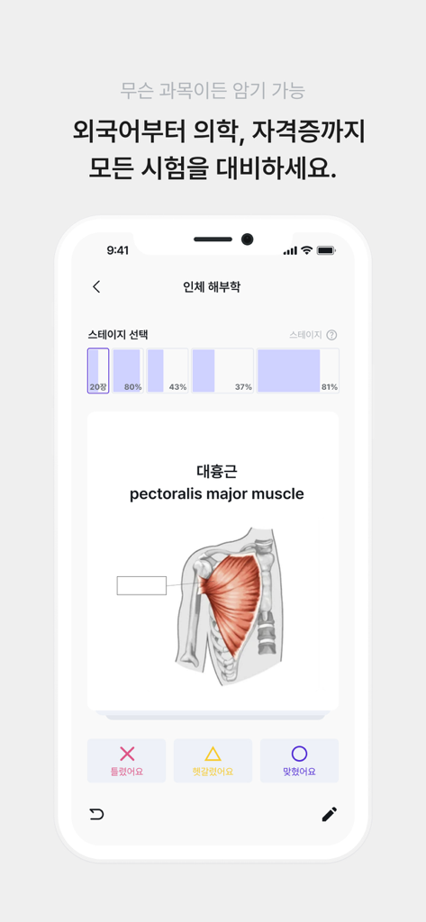 Mobile app interface showing a human anatomy flashcard for medical study with progress tracking bars