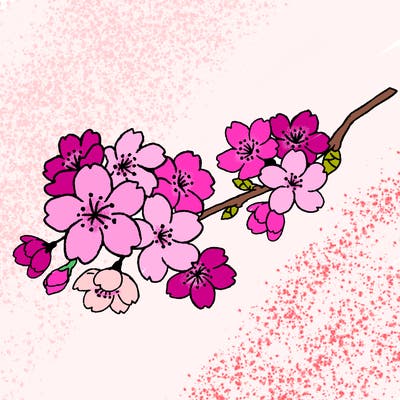 japan_week_08
