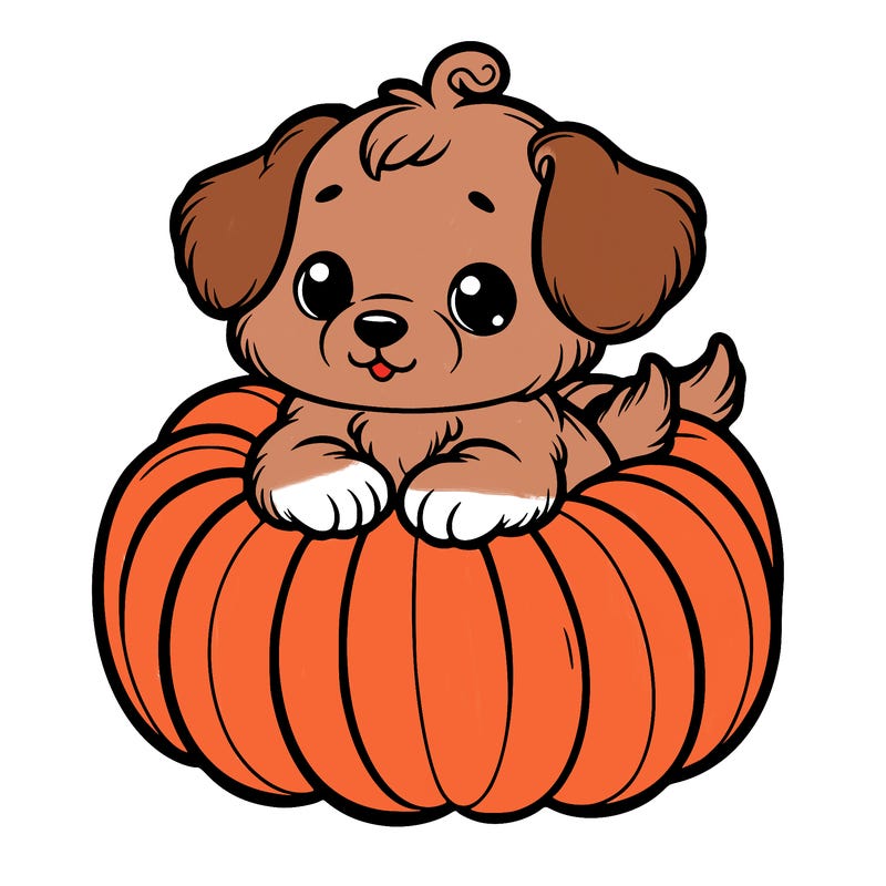 cute little puppy in a pumpkin