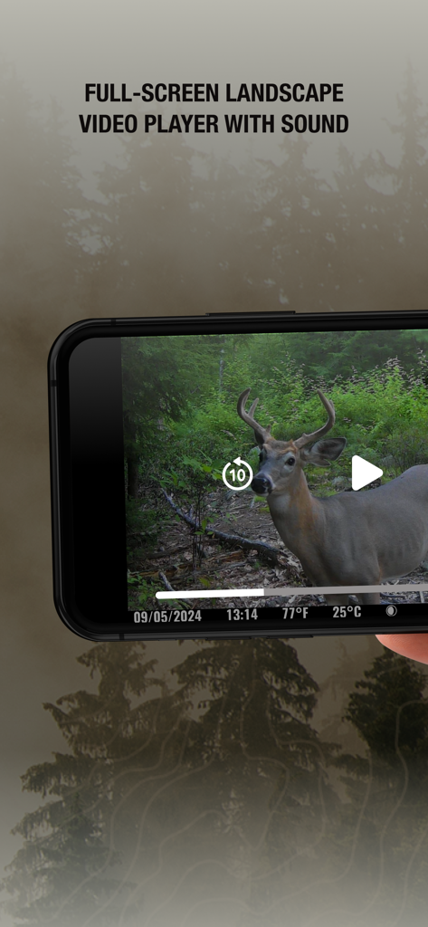 Full screen landscape video player showing a buck on the SPYPOINT app