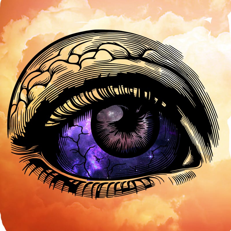 realistic human eye in the head