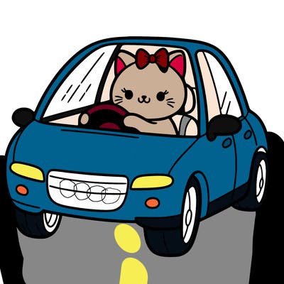 cat driving a car