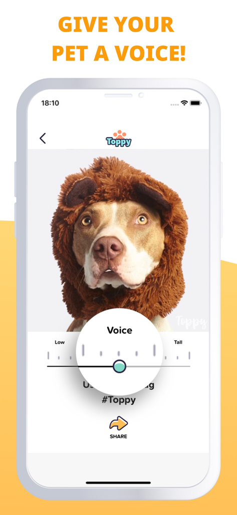 My Talking Animal & Pet App - Toppy app screen showing a dog in a lion costume and voice pitch settings