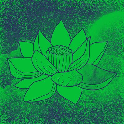 flowers_08