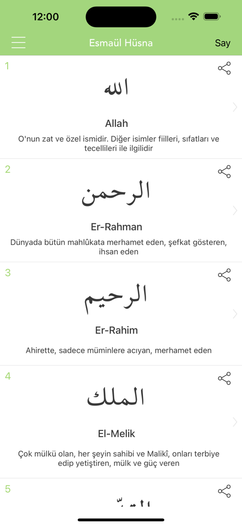 Esmaül Hüsna - Mobile app screen displaying a list of the 99 Names of Allah with Arabic calligraphy and descriptions.