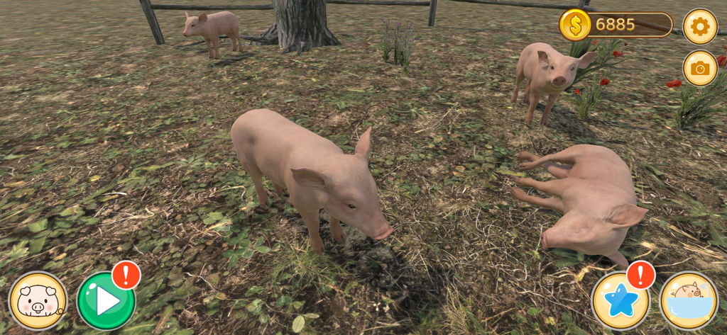 Piglet Garden - Four pink mini pigs in a grassy outdoor garden area with game user interface icons