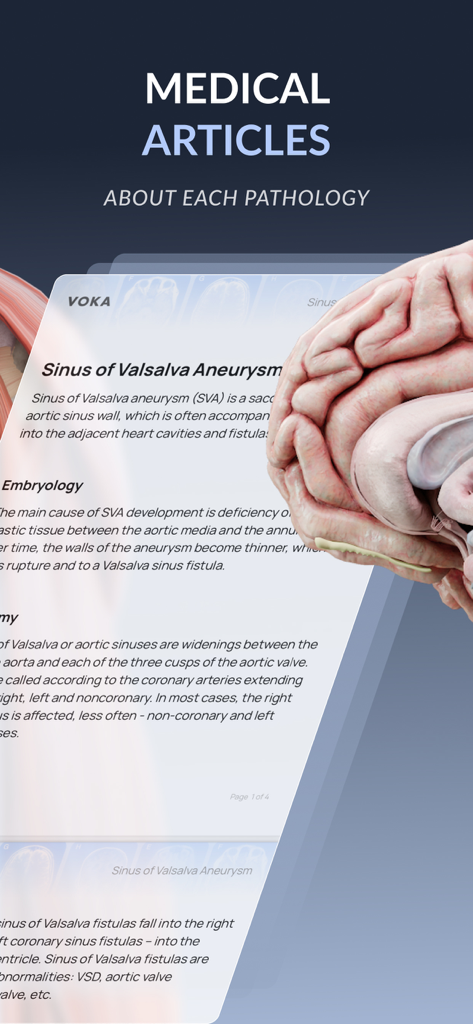 VOKA 3D Anatomy & Pathology - VOKA app interface showing medical articles and a 3D brain model