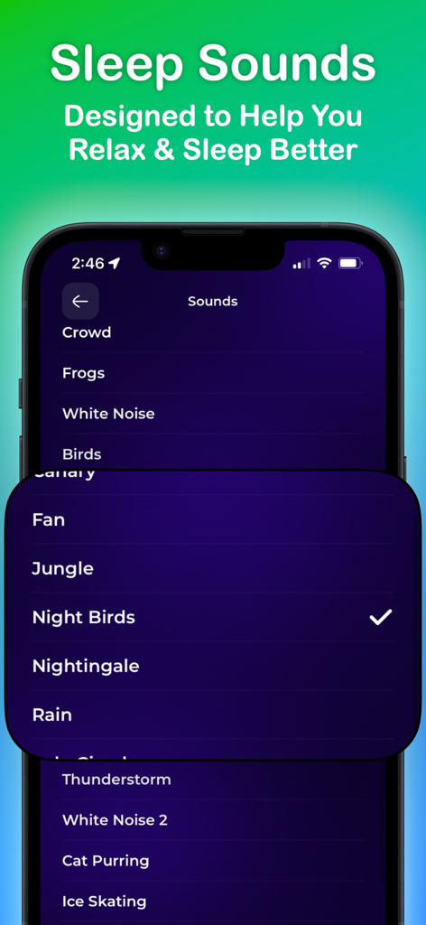 Night Light Ai Lite Nightlight - Captura de pantalla de la aplicación Luz Nocturna que muestra una lista de sonidos para dormir como Pájaros Nocturnos y Ruido Blanco para ayudar a los usuarios a relajarse.