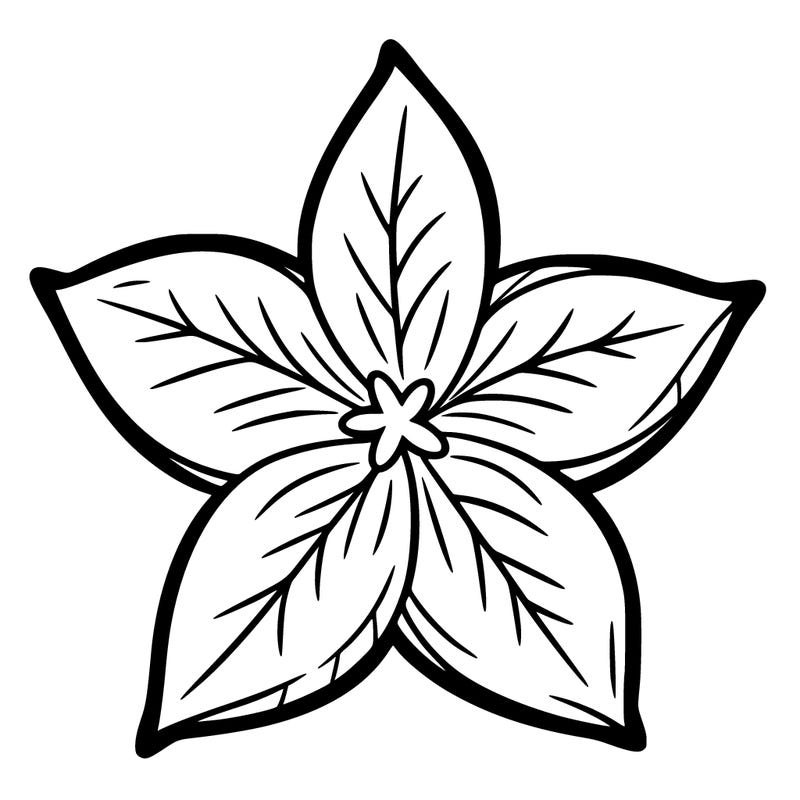 star flower