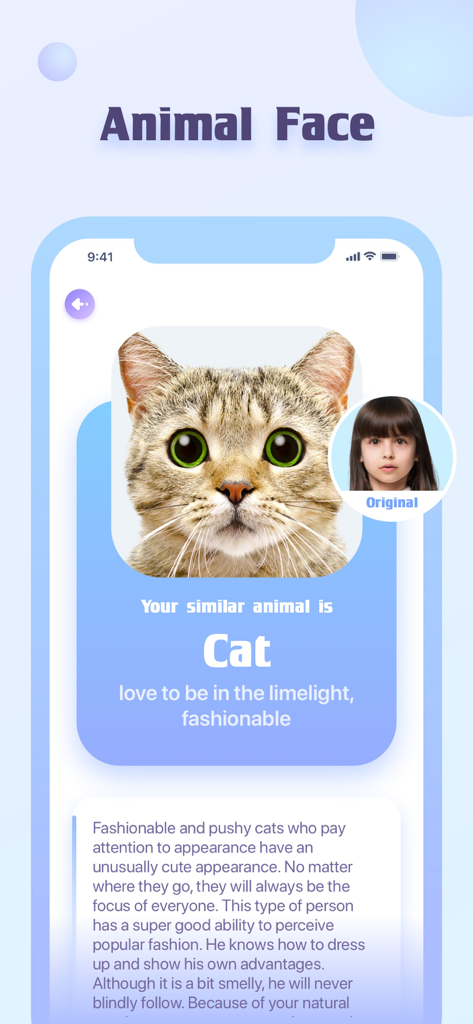 Lucky Life app screenshot showing the Animal Face feature identifying a cat as the user soul animal character.