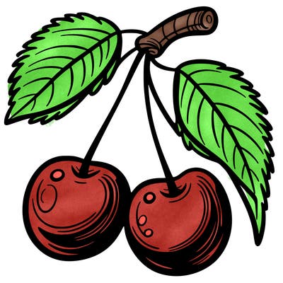cherry