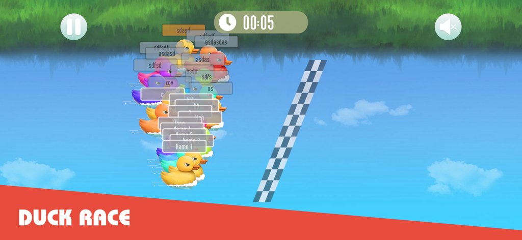Duck Race: Name Picker - Colorful rubber ducks with custom name tags racing across water toward a checkered finish line